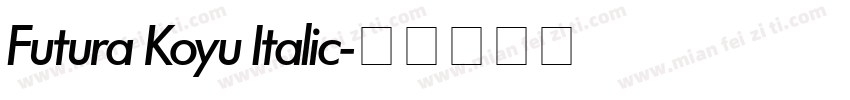 Futura Koyu Italic字体转换